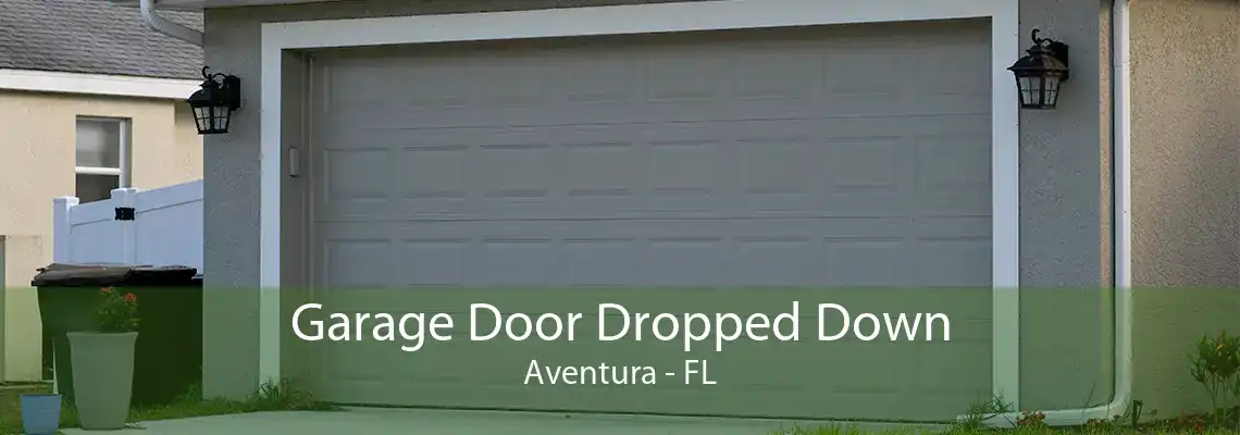 Garage Door Dropped Down Aventura - FL