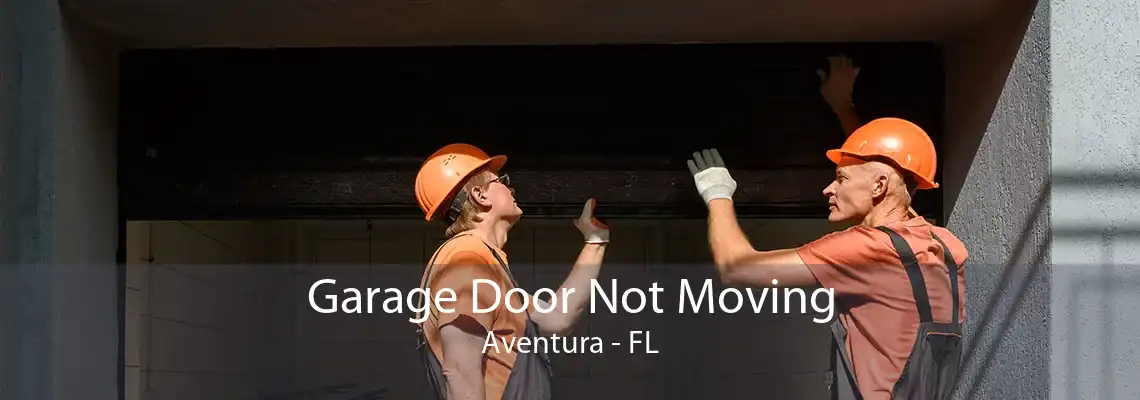 Garage Door Not Moving Aventura - FL