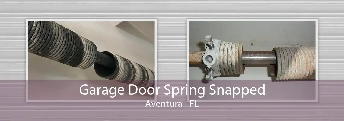 Garage Door Spring Snapped Aventura - FL