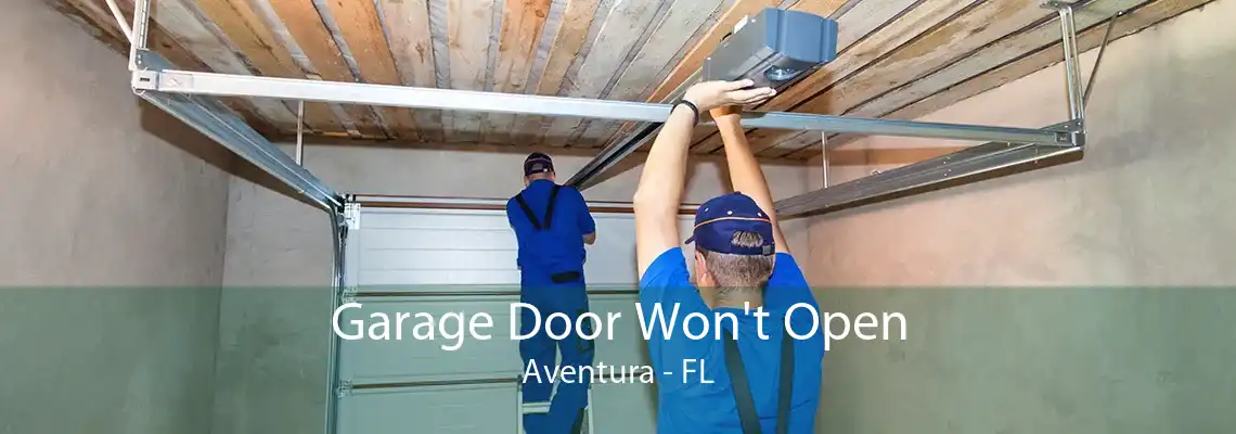 Garage Door Won't Open Aventura - FL