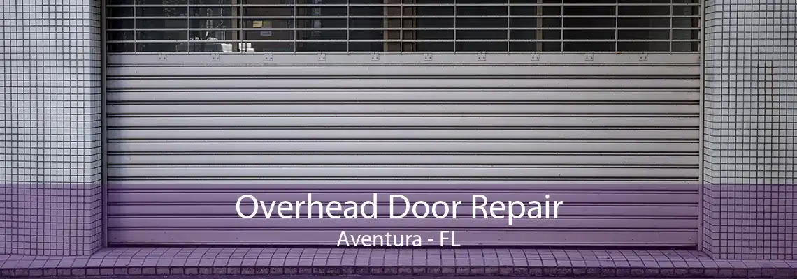 Overhead Door Repair Aventura - FL